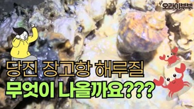 서해 장고항 해루질 포인트, 당진 소라,고동,바지락,박하지,꽃게 서울근교 해루질 가볼만한곳