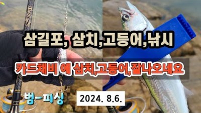 서산 삼길포항 삼치 고등어 카드채비 루어낚시 서해안 캠핑낚시 바다낚시 조황정보 및 채비정보