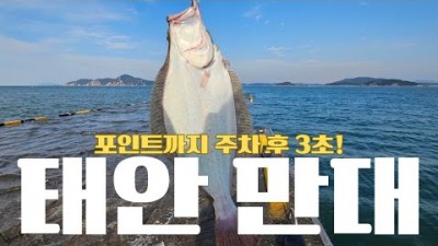 태안 만대 광어낚시 워킹 루어낚시 조황정보
