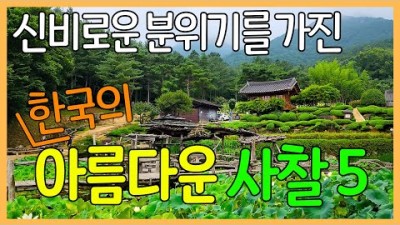 아름다운 사찰여행 가볼만한곳 추천, 산청 수선사 아름다운 연못과 정원, 경주 골굴사 국내 유일의 석굴사원, 양산 홍룡사, 국내 여행 갈만한곳