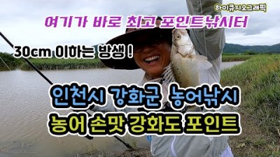 강화도 농어낚시 포인트, 서울근교 망둥어낚시 바다낚시 가볼만한곳 추천