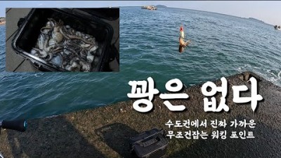 서해 당진 왜목마을 쭈꾸미낚시 갑오징어낚시 광어낚시 낙지해루질 캠핑 차박 가능한 포인트 추천