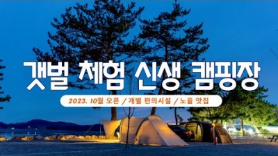 태안 머드오토캠핑장 갯벌체험 해루질 가능한 서해안 노을맛집 캠핑장 가볼만한곳 추천